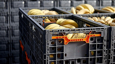 bannanas