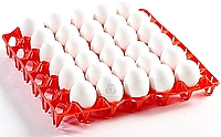 תבנית ביצים מרושתת מפלסטיק 30 ביצים